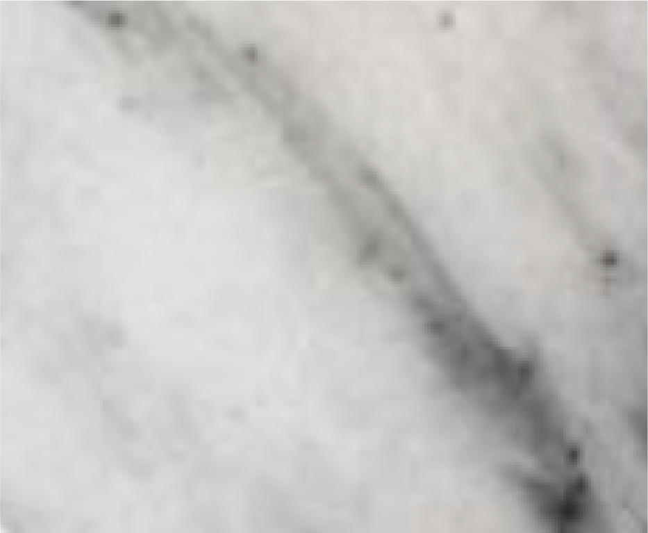 OLE-Colores-10.png