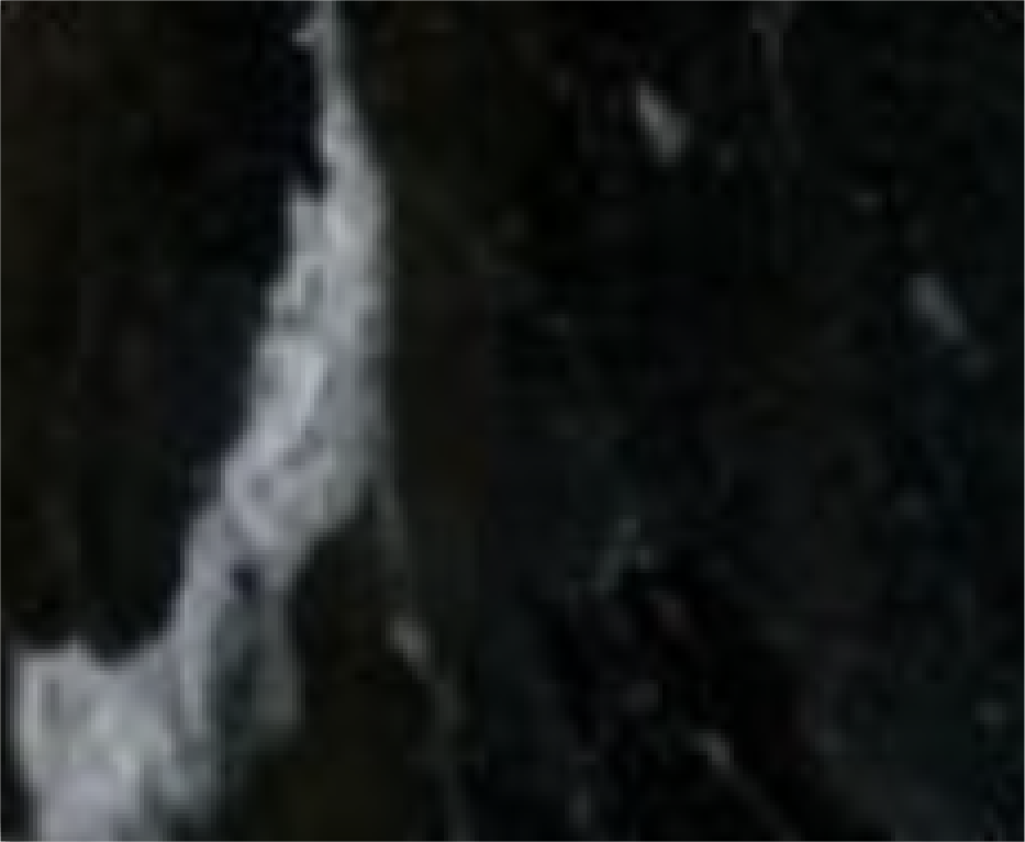 OLE-Colores-11.png